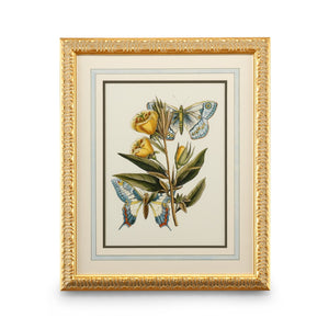 Chelsea House Butterfly Oasis Ii Plate Lithograph With Gold-Leaf Frame, French Matting, Gallery-Quality Wall Art (27X22) 386096