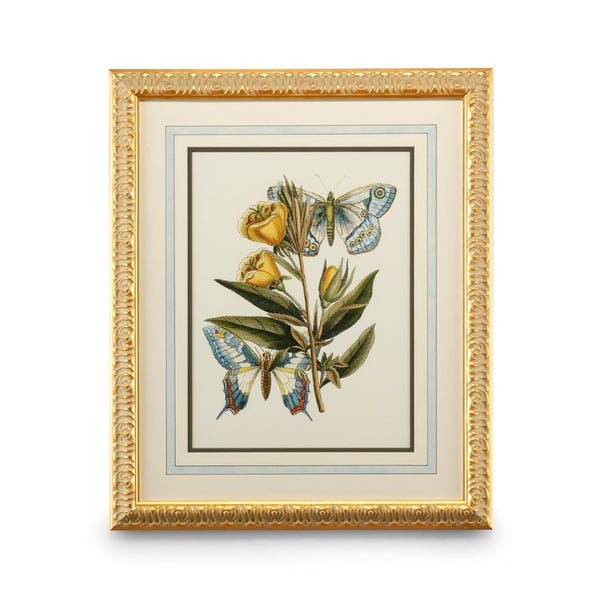 Chelsea House Butterfly Oasis Ii Plate Lithograph With Gold-Leaf Frame, French Matting, Gallery-Quality Wall Art (27X22) 386096