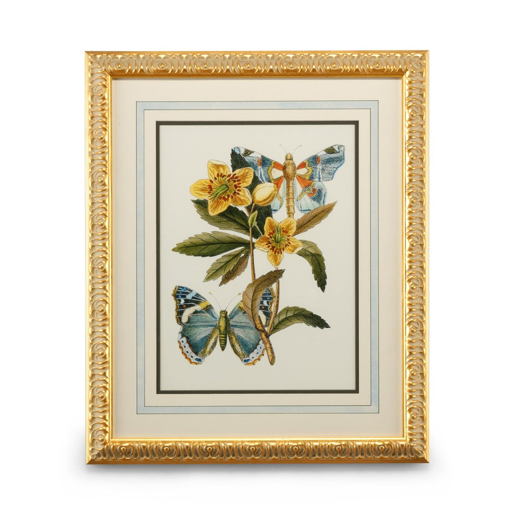 Chelsea House Butterfly Plate Lithograph In Gold-Leaf Frame With French Mat — Vibrant Butterflies, Ready To Hang 386097