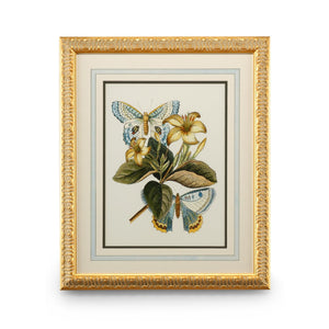 Chelsea House Butterfly Plate Lithograph Oasis Iv — Gold-Leaf Frame, French Mat Under Glass, Ready-To-Hang Art (27X22) 386098
