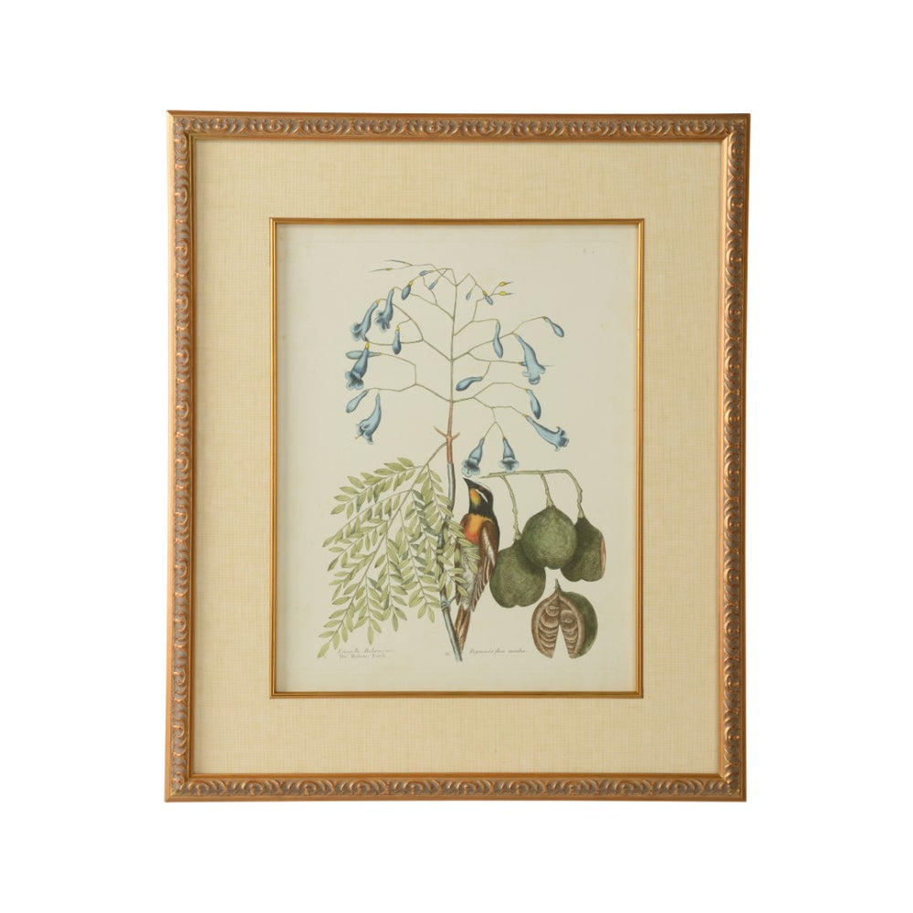 Chelsea House Catesby GicléE Bird & Botanical Print In Gold Leaf Frame With Linen Mat — Museum-Style Ready-To-Hang Decor 386176
