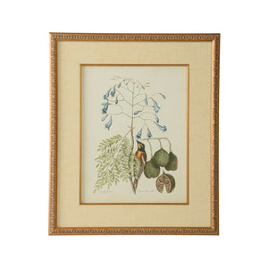 Chelsea House Catesby GicléE Bird & Botanical Print In Gold Leaf Frame With Linen Mat — Museum-Style Ready-To-Hang Decor 386176