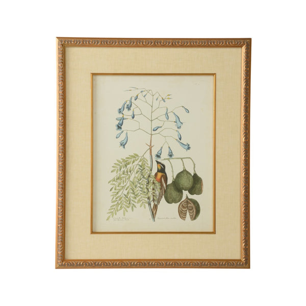 Chelsea House Catesby GicléE Bird & Botanical Print In Gold Leaf Frame With Linen Mat — Museum-Style Ready-To-Hang Decor 386176