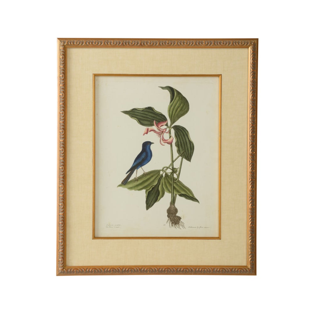 Chelsea House Catesby GicléE Bird & Botanical Print In Gold Leaf Frame With Linen Mat, Museum-Quality 26X22" 386178