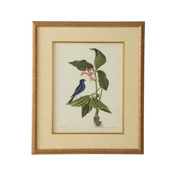 Chelsea House Catesby GicléE Bird & Botanical Print In Gold Leaf Frame With Linen Mat, Museum-Quality 26X22" 386178