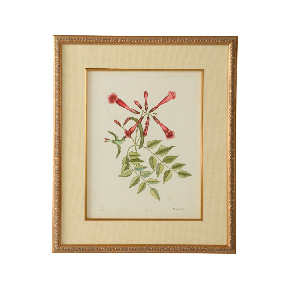 Chelsea House Catesby GicléE Bird & Botanical Print In Gold Leaf Frame With Linen Mat, Ready-To-Hang 26"X22" 386180