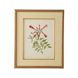 Chelsea House Catesby GicléE Bird & Botanical Print In Gold Leaf Frame With Linen Mat, Ready-To-Hang 26"X22" 386180