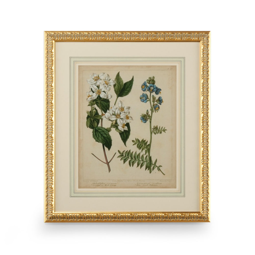 Chelsea House Cottage Floral GicléE Print With Gold Leaf Frame, French Double Mat & Protective Glass, 31"X27" 386236