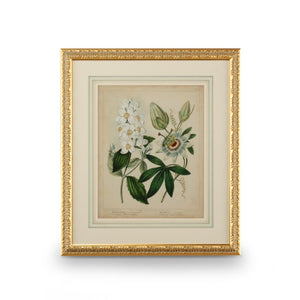 Chelsea House Cottage Gold-Leaf Framed Florals Ii Wall Art — GicléE Print, French Mat, Glass Protection, 31"X27" 386237