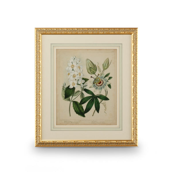 Chelsea House Cottage Gold-Leaf Framed Florals Ii Wall Art — GicléE Print, French Mat, Glass Protection, 31"X27" 386237