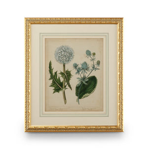 Chelsea House Cottage Floral GicléE In Gold Leaf Frame With French Mat, Protective Glass — Ready To Hang (31X27") 386238