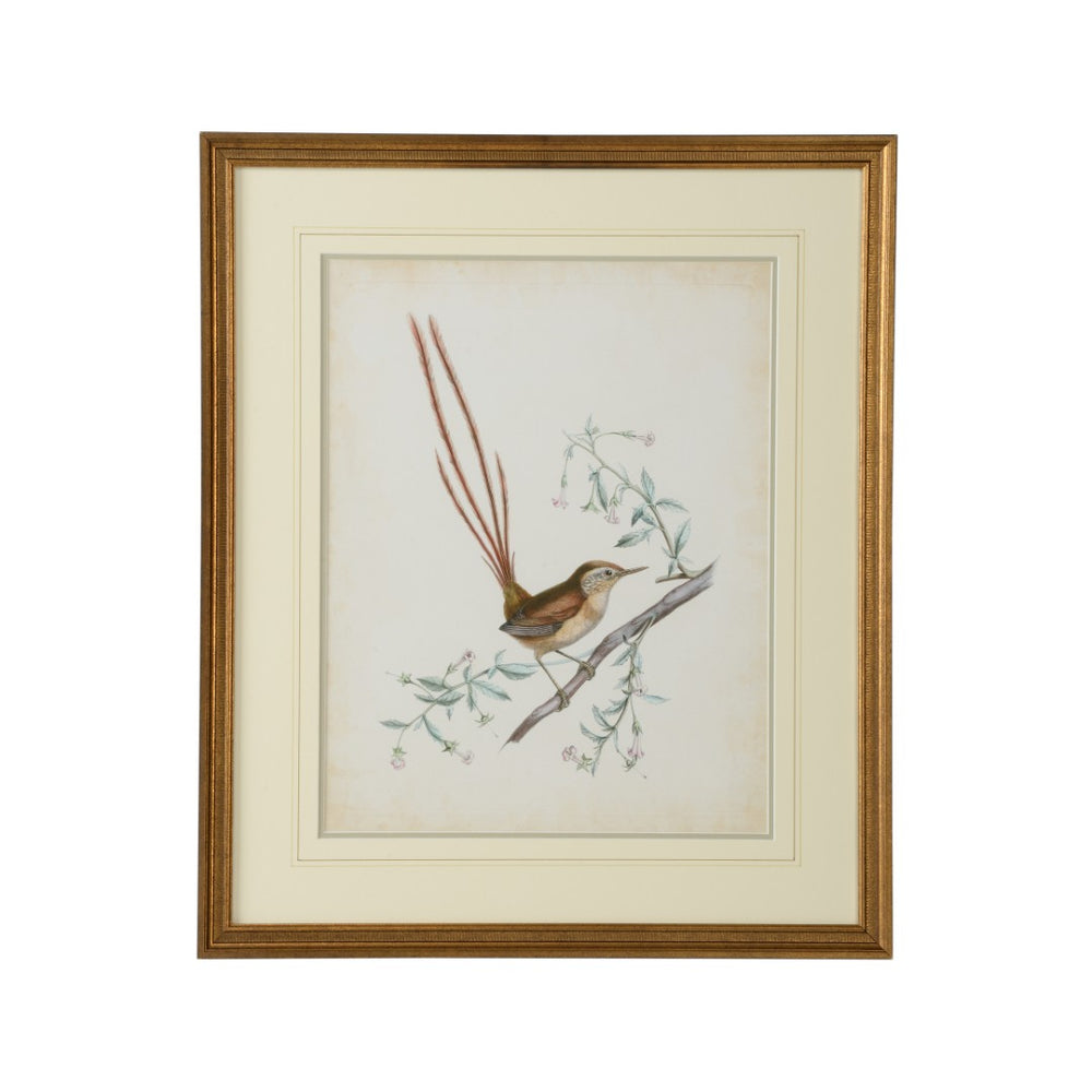 Chelsea House Delicate Birds I — GicléE Print With Double Mat & Gold Frame, Museum-Quality, Ready-To-Hang Artwork (26X21.75) 386342