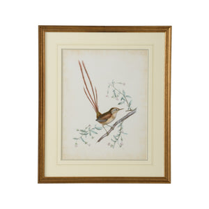 Chelsea House Delicate Birds I — GicléE Print With Double Mat & Gold Frame, Museum-Quality, Ready-To-Hang Artwork (26X21.75) 386342