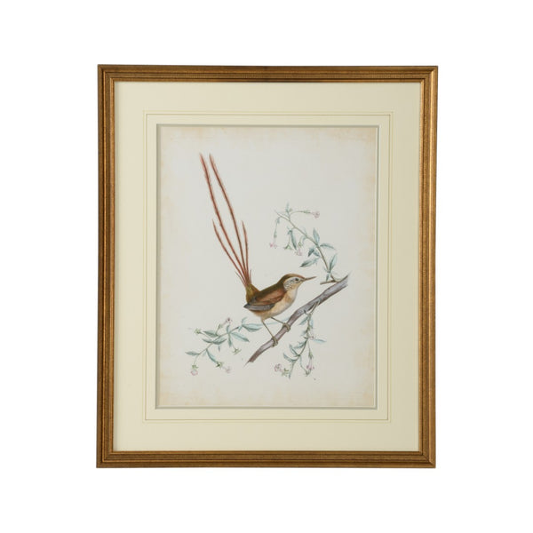 Chelsea House Delicate Birds I — GicléE Print With Double Mat & Gold Frame, Museum-Quality, Ready-To-Hang Artwork (26X21.75) 386342