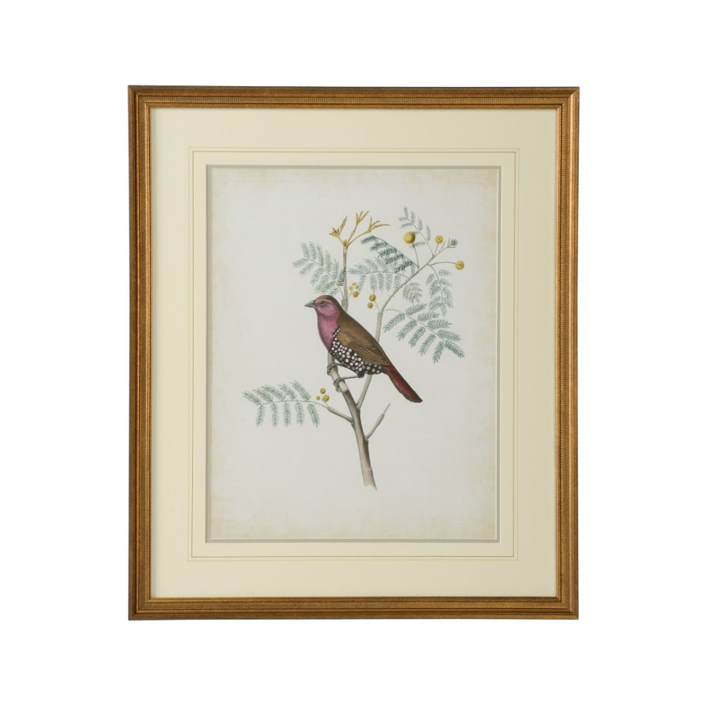 Chelsea House Delicate Birds Ii GicléE Print With Double Mat & Gold Frame, Archival Colors, Museum-Quality 26" H 386343