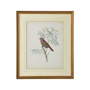 Chelsea House Delicate Birds Ii GicléE Print With Double Mat & Gold Frame, Archival Colors, Museum-Quality 26" H 386343