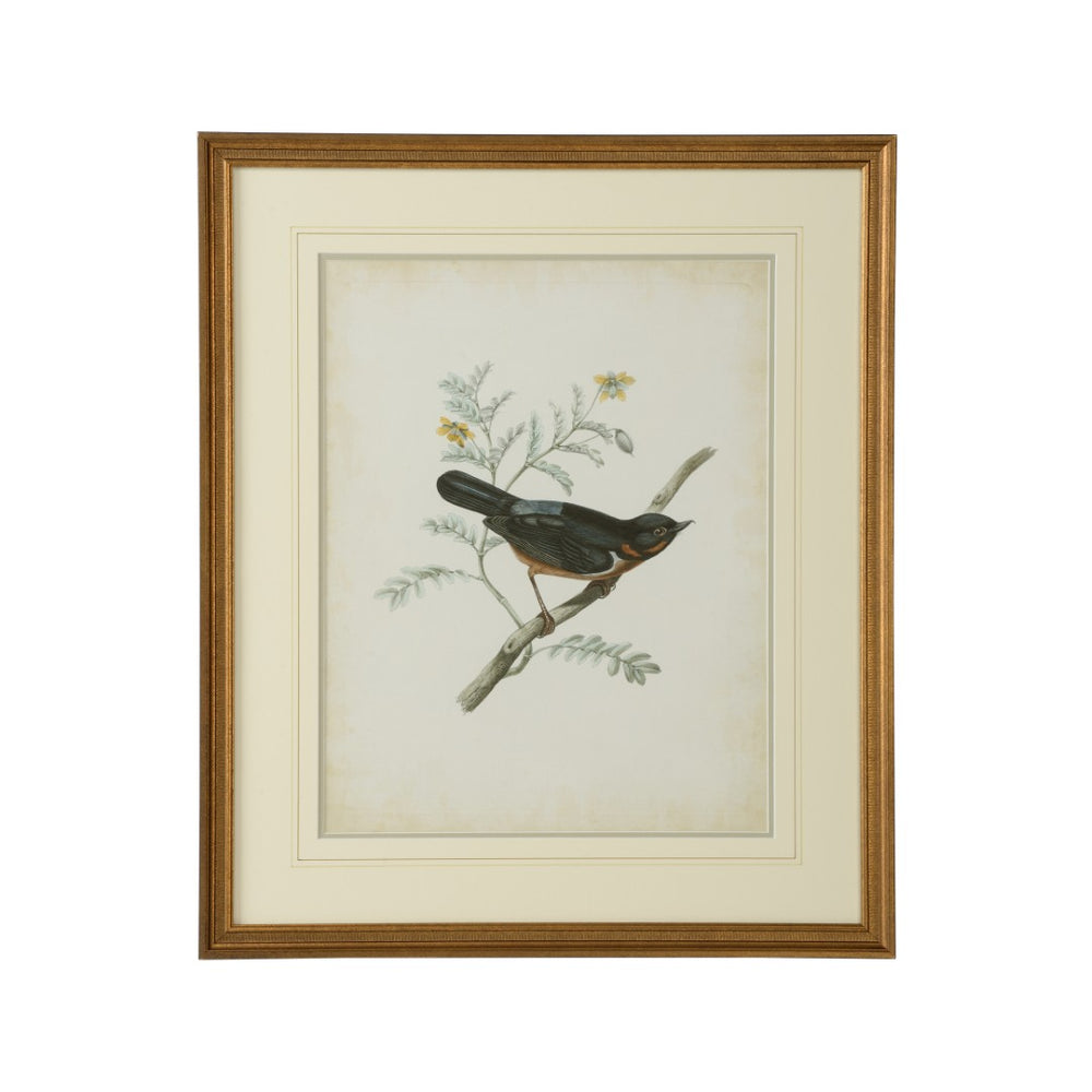 Chelsea House Delicate Birds Iii GicléE Print With Gold Frame, Double Mat & French Lines — 26" X 21.75" Ready To Hang 386344