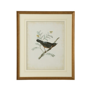 Chelsea House Delicate Birds Iii GicléE Print With Gold Frame, Double Mat & French Lines — 26" X 21.75" Ready To Hang 386344