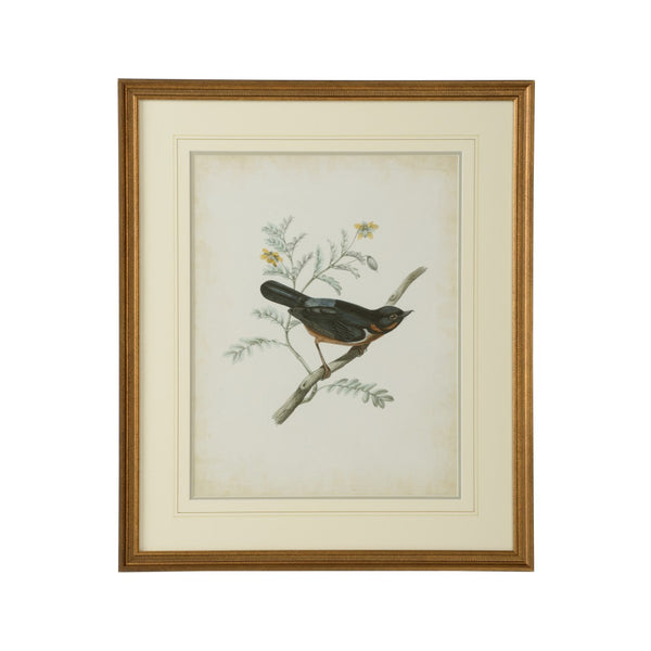 Chelsea House Delicate Birds Iii GicléE Print With Gold Frame, Double Mat & French Lines — 26" X 21.75" Ready To Hang 386344