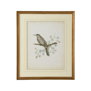 Chelsea House Delicate Birds Iv GicléE Print With Double Mat, Gold Frame & Protective Glass — Timeless Nature Art 386345