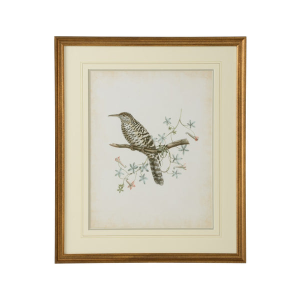 Chelsea House Delicate Birds Iv GicléE Print With Double Mat, Gold Frame & Protective Glass — Timeless Nature Art 386345