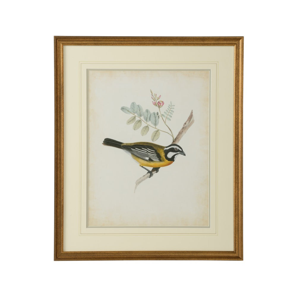 Chelsea House Delicate Birds V GicléE Print With Double Mat, Gold Frame, Museum-Quality Wall Art 26"X21.75" 386346