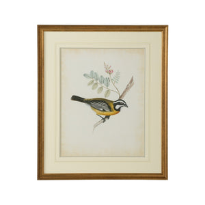 Chelsea House Delicate Birds V GicléE Print With Double Mat, Gold Frame, Museum-Quality Wall Art 26"X21.75" 386346