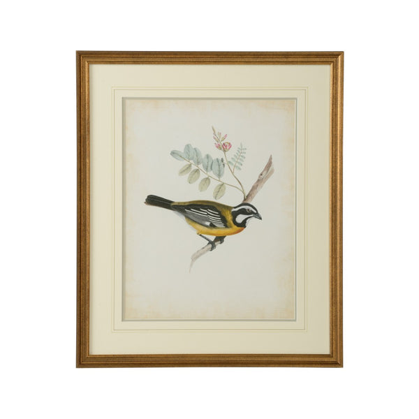 Chelsea House Delicate Birds V GicléE Print With Double Mat, Gold Frame, Museum-Quality Wall Art 26"X21.75" 386346