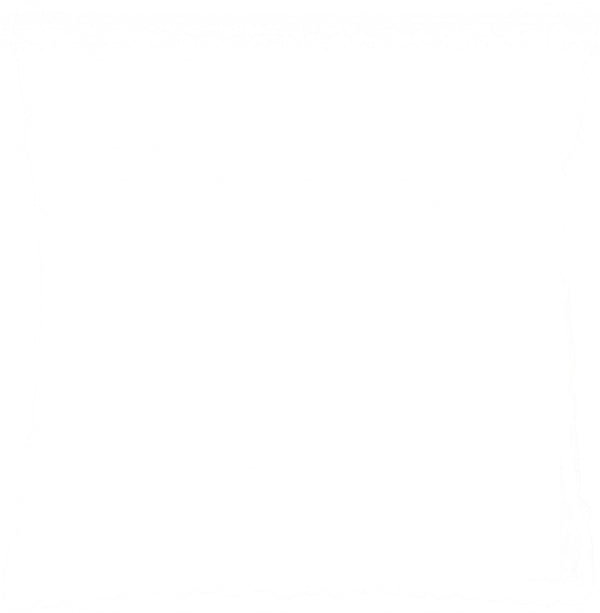 Homeroots 20" Ivory Silky Soft Velvet Capsules Throw Pillow   386445