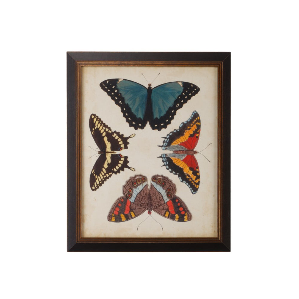 Chelsea House Display Of Butterflies I GicléE Gold Print In Black Textured Frame With Glass — Ready To Hang Art 386515