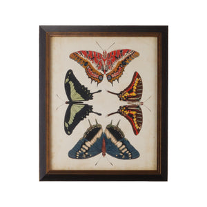 Chelsea House Display Of Butterflies Ii — Gold GicléE Art In Black Textured Frame, 23"X19" Ready-To-Hang Elegance 386516