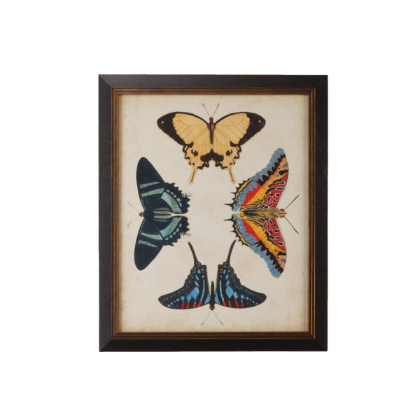 Chelsea House Display Of Butterflies Iii GicléE Gold Print In Black Textured Frame With Protective Glass, 23"X19" 386517