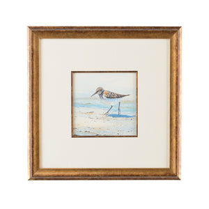 Chelsea House Sand Sand Piper Ii Hand-Painted Watercolor Sandpiper In Antique Gold Frame With White Mat, Coastal Elegance 386546