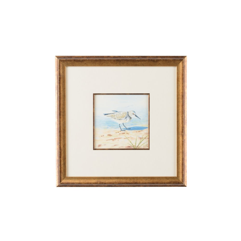 Chelsea House Sand Piper Vi Original Watercolor In Antique Gold Frame – Coastal Elegance, Museum Matting, Ready-To-Hang 386550