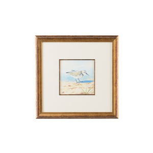 Chelsea House Sand Piper Vi Original Watercolor In Antique Gold Frame – Coastal Elegance, Museum Matting, Ready-To-Hang 386550