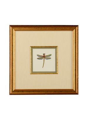 Chelsea House Miniature Dragonfly Ii GicléE Print In Gold Frame With Linen Mat, Archival Inks — Perfect For Small Spaces 386609