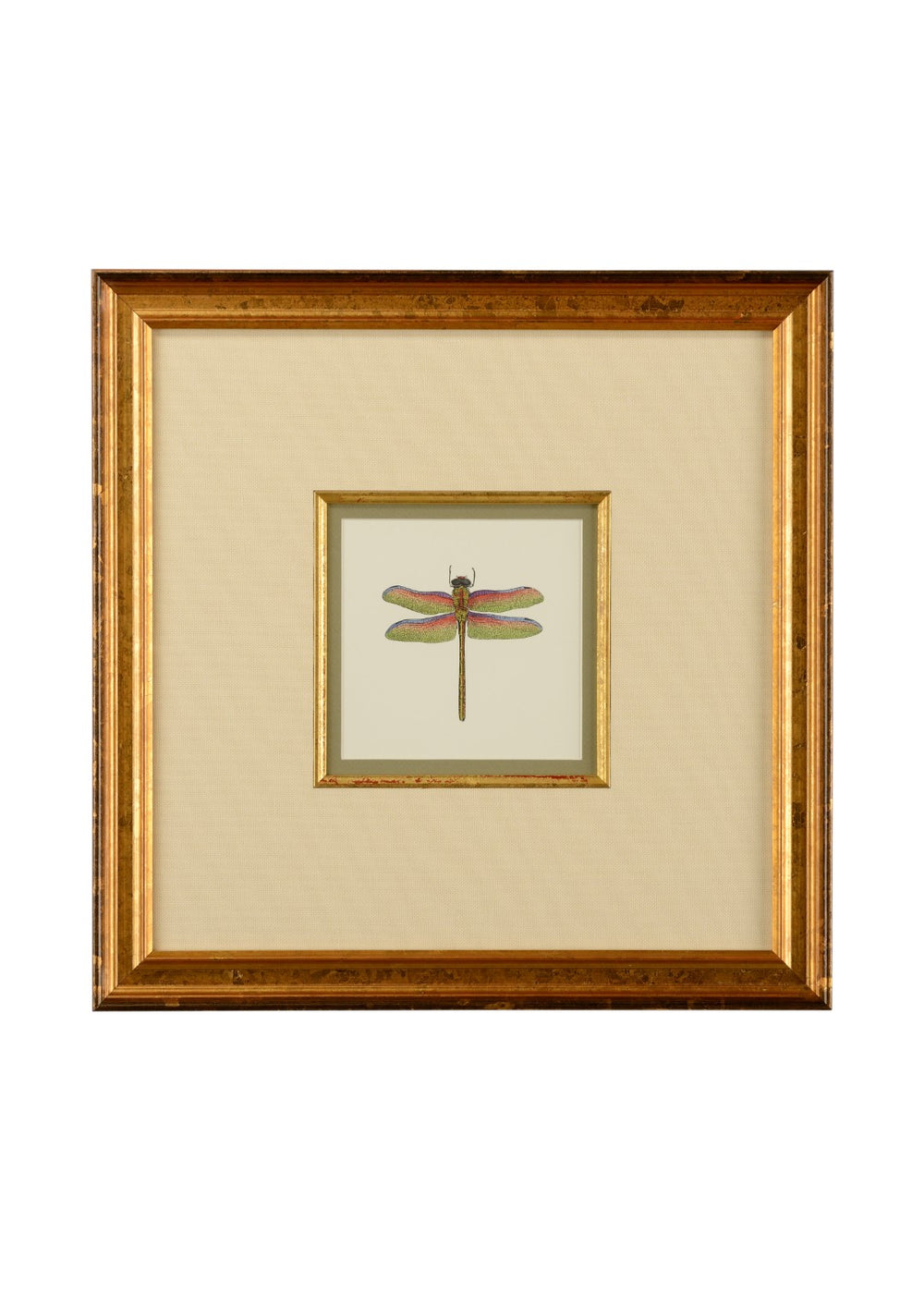 Chelsea House Miniature Dragonfly Iii GicléE In Gold Frame With Linen Double Mat, Glass Protection, 18.5" Square 386610