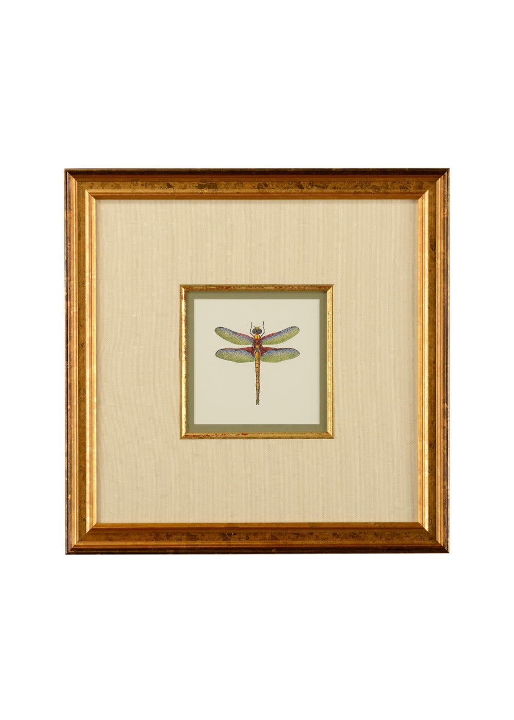 Chelsea House Miniature Dragonfly Iv GicléE Print In Gold Frame With Linen Mat & Glass — Compact 18.5" Square Artpiece For Desks, Walls, Homes 386611