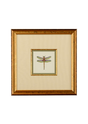 Chelsea House Miniature Dragonfly Iv GicléE Print In Gold Frame With Linen Mat & Glass — Compact 18.5" Square Artpiece For Desks, Walls, Homes 386611