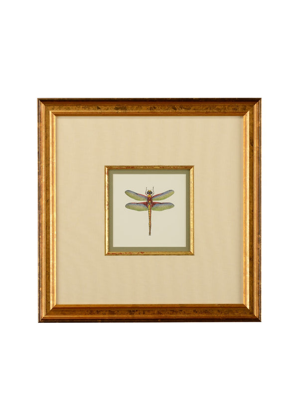 Chelsea House Miniature Dragonfly Iv GicléE Print In Gold Frame With Linen Mat & Glass — Compact 18.5" Square Artpiece For Desks, Walls, Homes 386611
