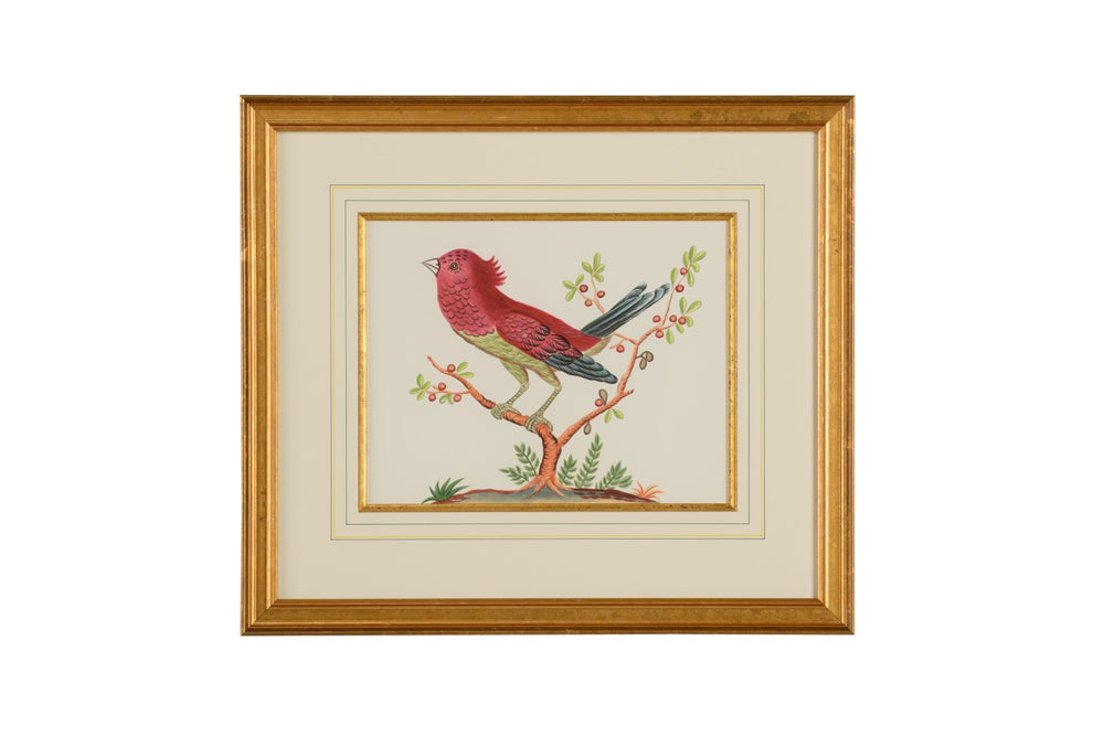 Chelsea House Pink Hand-Painted Watercolor Bird With Black Tail In Gold Frame Under Glass—Gallery-Ready 22X25 In. Framed Decor 386862