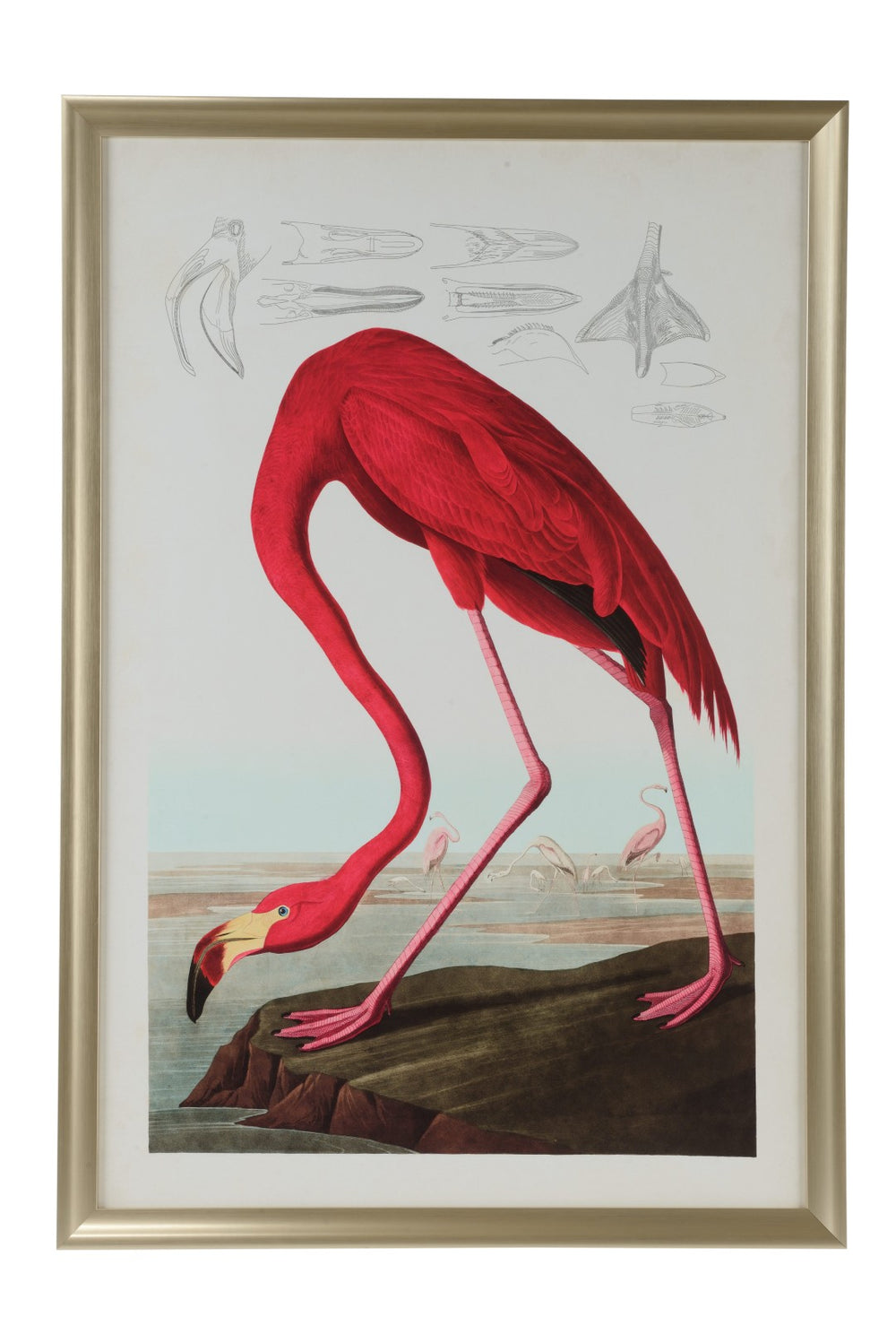 Chelsea House American Flamingo Framed Art Print By Jamie Merida — Brushed Gold Frame, Glass-Protected Tropical Focal Piece 387126