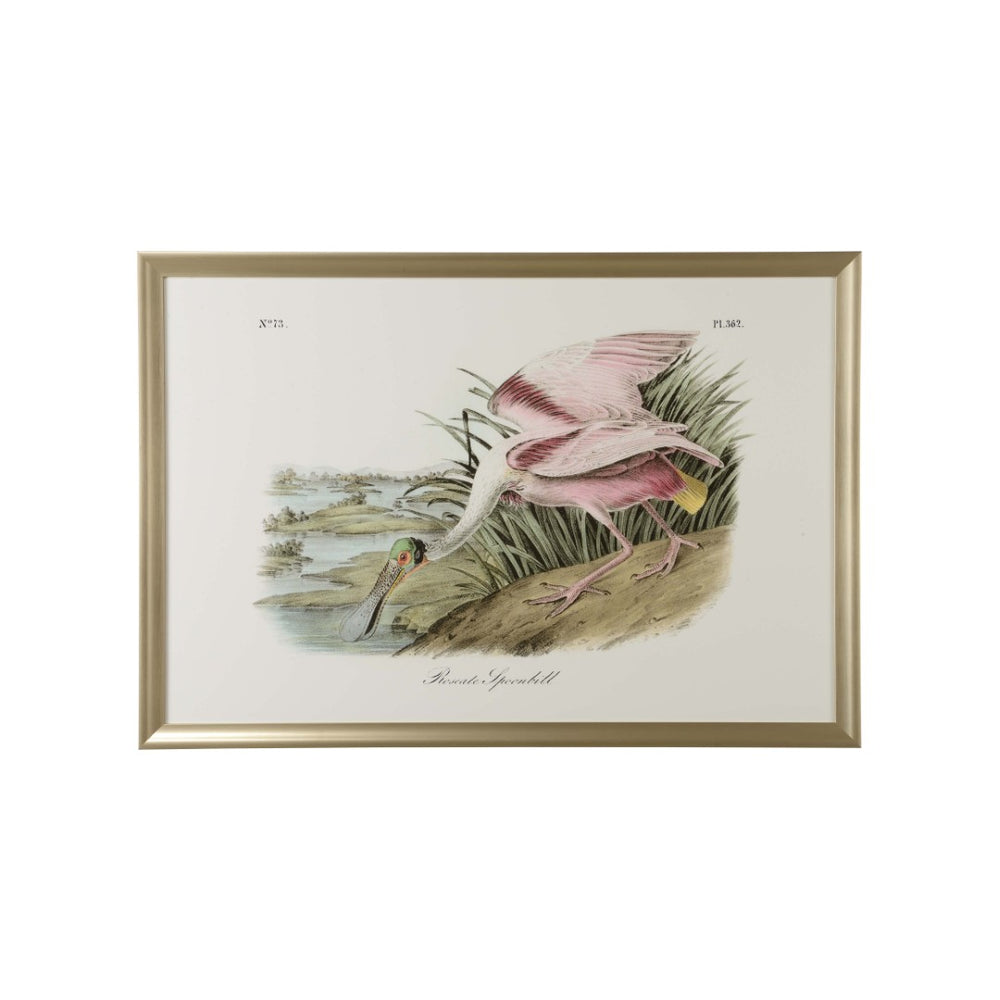 Chelsea House Roseate Museum-Quality GicléE Print Of Roseate Spoonbill — Vibrant Pink Coastal Art For Homes & Gifts 387199