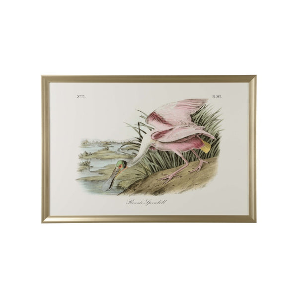 Chelsea House Roseate Museum-Quality GicléE Print Of Roseate Spoonbill — Vibrant Pink Coastal Art For Homes & Gifts 387199