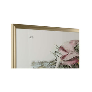 Chelsea House Roseate Museum-Quality GicléE Print Of Roseate Spoonbill — Vibrant Pink Coastal Art For Homes & Gifts 387199