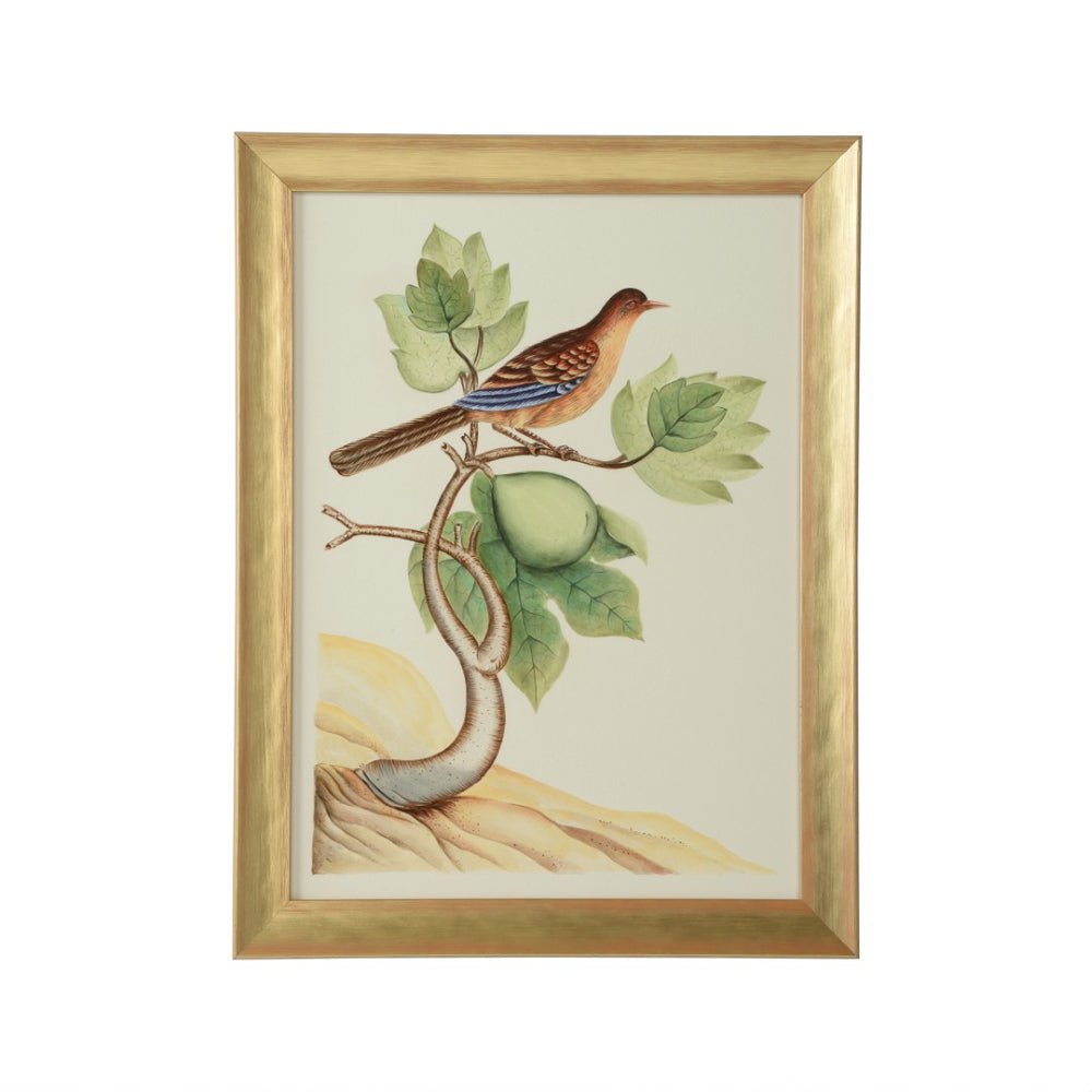 Chelsea House Watercolor Birds By Bill Cain — Framed Original 25"X19" Gold Wood, Serene Hand-Painted Nature Art 387215