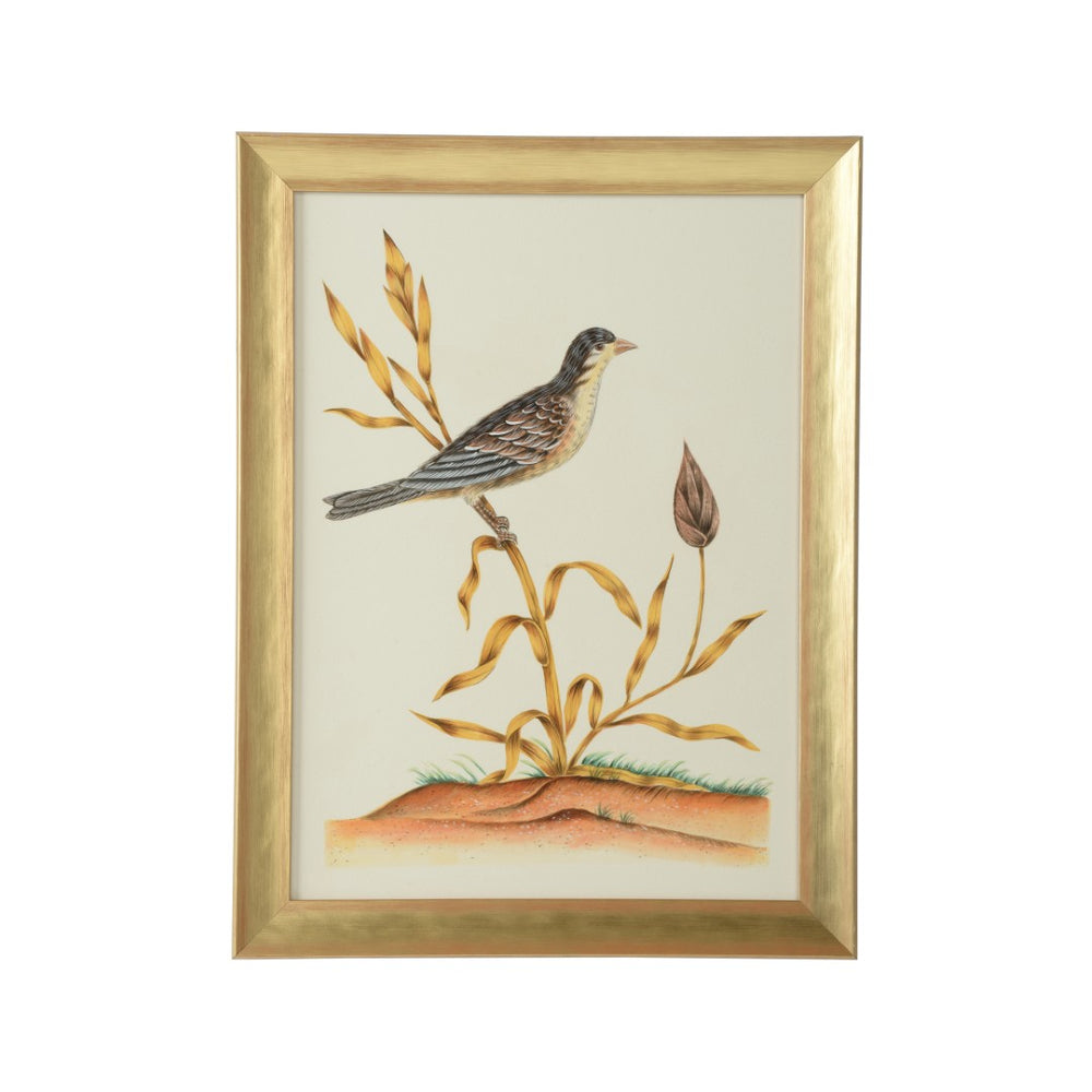 Chelsea House Watercolor Birds By Bill Cain — Framed Original Hand-Painted Ornithological Art In Warm Gold Frame, Ready To Hang 387217