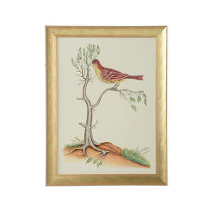 Chelsea House Watercolor Birds By Bill Cain — Hand-Painted Original With Gold Wood Frame, Champagne Mat, 25"X19" 387218