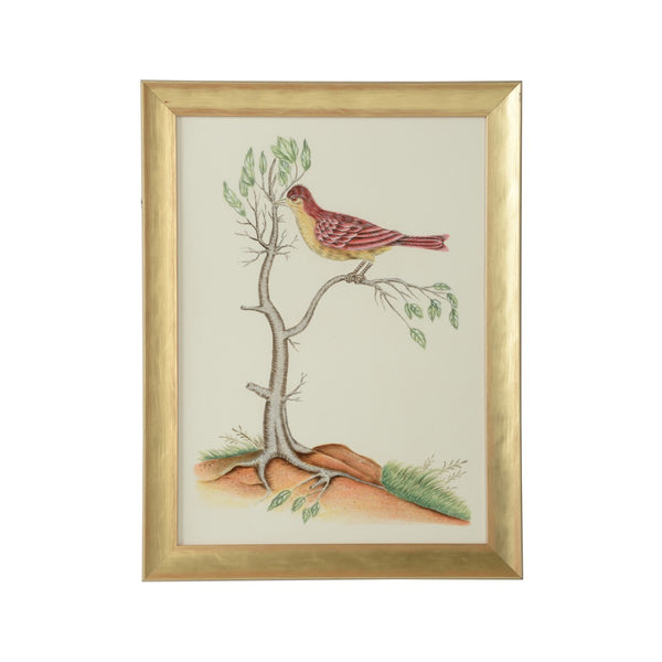 Chelsea House Watercolor Birds By Bill Cain — Hand-Painted Original With Gold Wood Frame, Champagne Mat, 25"X19" 387218