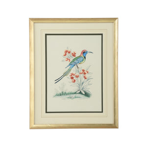 Chelsea House Cain Hand-Painted Birds Watercolor By Bill Cain In Gold Wood Frame — Elegant Ready-To-Hang 20X16 Art (Framed) 387223